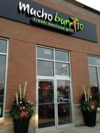 Mucho Burrito